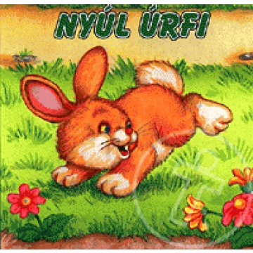 Nyúl úrfi