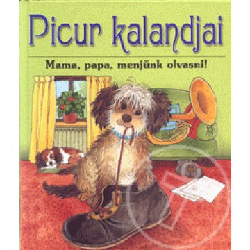 Picur kalandjai