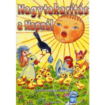 Nagytakarítás a Napnál