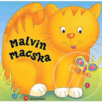 Pancsoló állatok: Malvin macska
