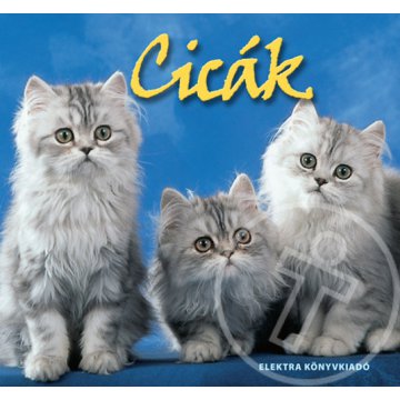 Cicák