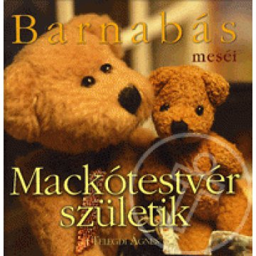 Barnabás meséi - Mackótestvér születik