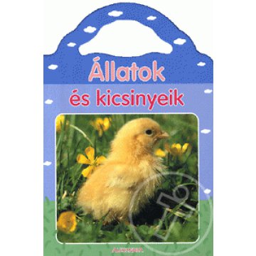 Csodás fotók az állatok világából: Állatok és kicsinyeik
