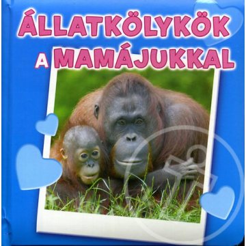 Állatkölykök a mamájukkal
