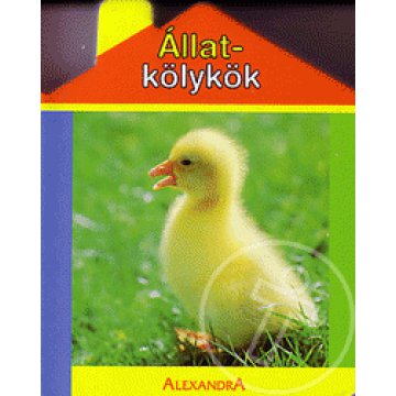 Állatkölykök