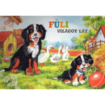 Füli világot lát