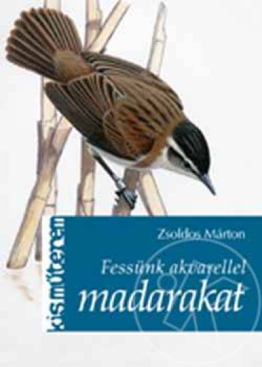FESSÜNK AKVARELLEL MADARAKAT - KIS MŰTEREM