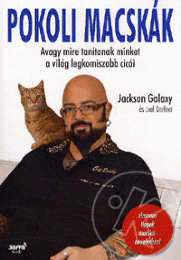 Pokoli macskák