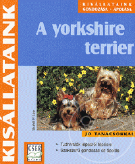 A yorkshire terrier