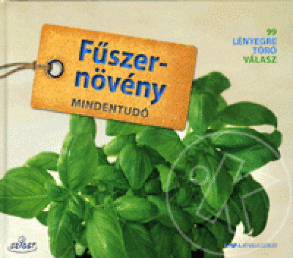 FŰSZERNÖVÉNY MINDENTUDÓ