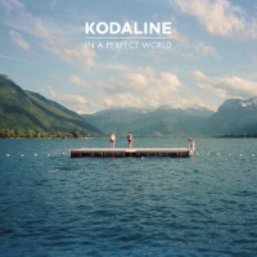 In A Perfect World CD