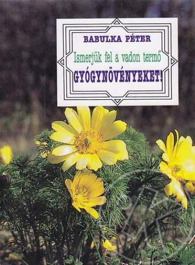Ismerjük fel a vadon termő gyógynövényeket!