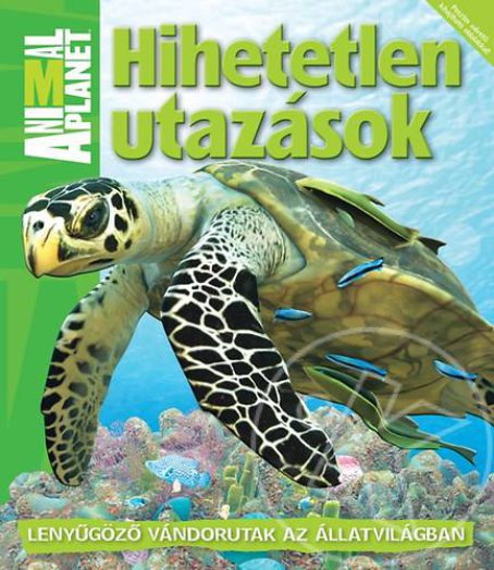 Hihetetlen utazások