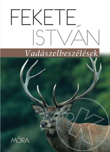 VADÁSZELBESZÉLÉSEK