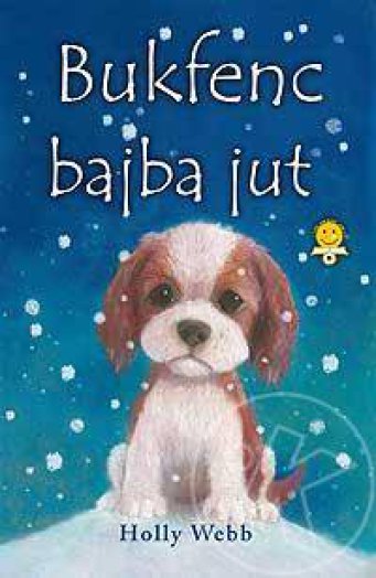 Bukfenc bajba jut