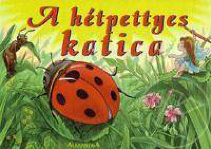 A hétpettyes katica