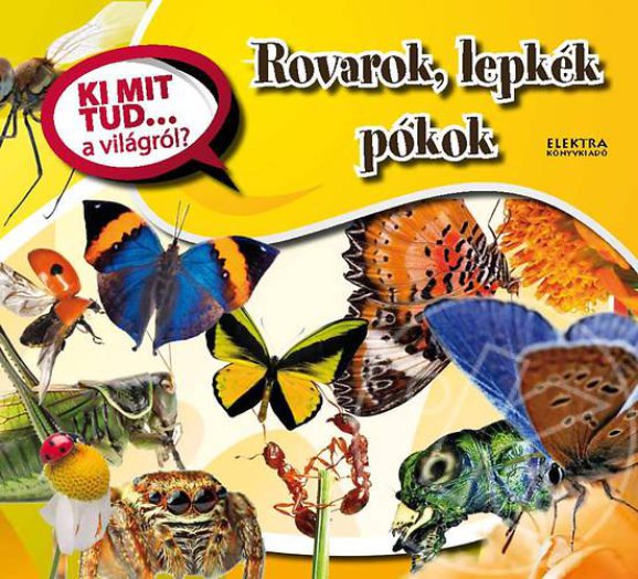 Rovarok, lepkék, pókok
