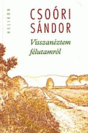 VISSZANÉZTEM FÉLUTAMRÓL