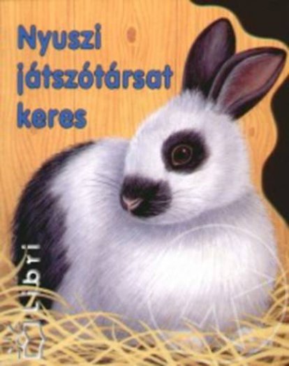 Nyuszi játszótársat keres