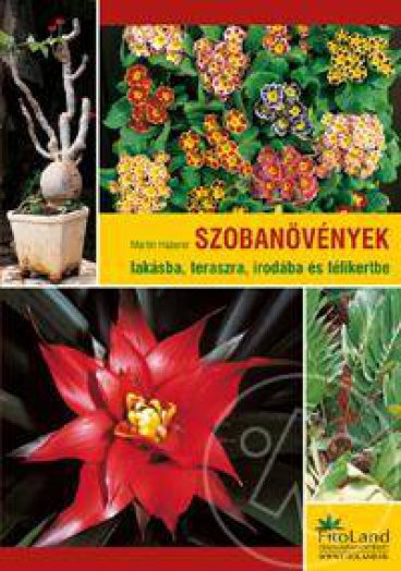 SZOBANÖVÉNYEK - LAKÁSBA, TERASZRA, IRODÁBA ÉS TÉLIKERTBE
