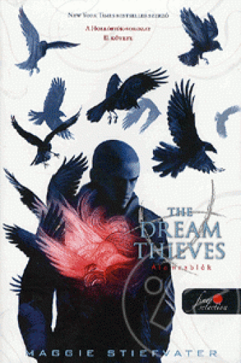 ÁLOMRABLÓK - THE DREAM THIEVES - FŰZÖTT