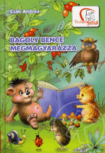 BAGOLY BENCE MEGMAGYARÁZZA