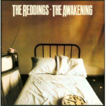 The Awakening LP