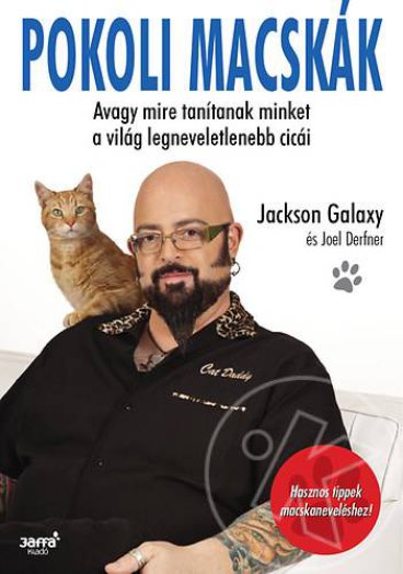 Pokoli macskák