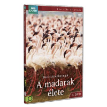 A madarak élete 3. DVD