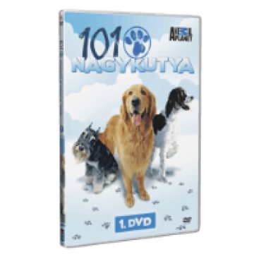 101 Nagykutya - 1. lemez DVD