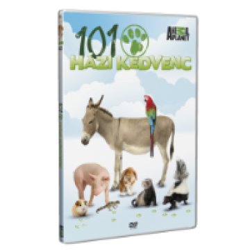 101 házi kedvenc DVD