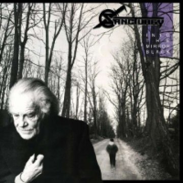 Into The Mirror Black LP