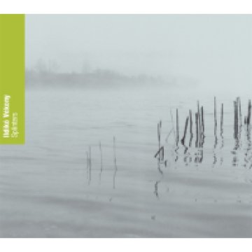 Splinters CD