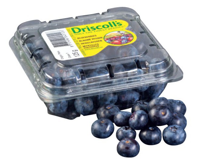 Driscolls kék áfonya