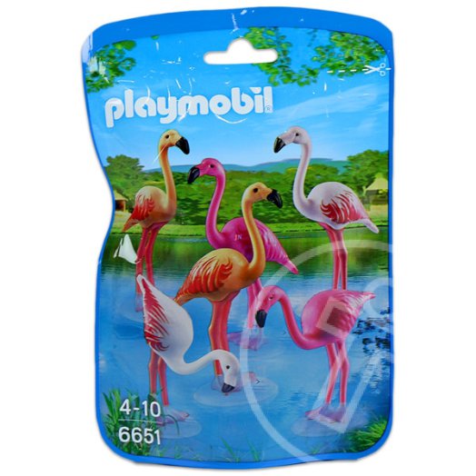 Flamingók - 6651