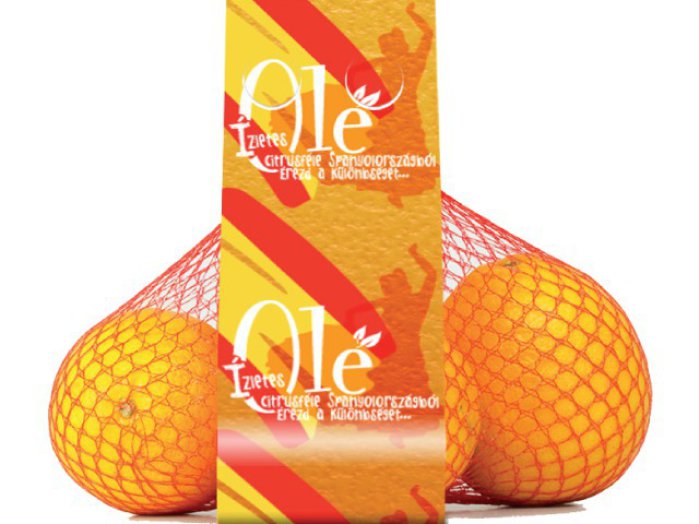 Olé narancs