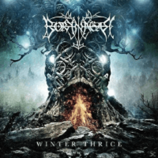 Winter Thrice LP