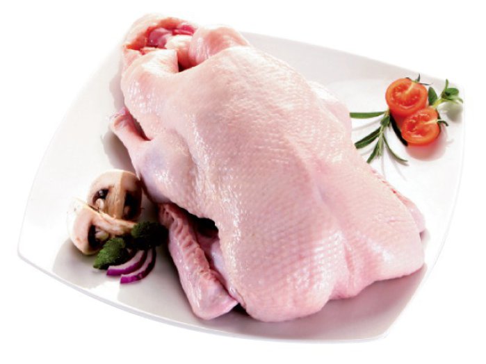 Friss pecsenyekacsa