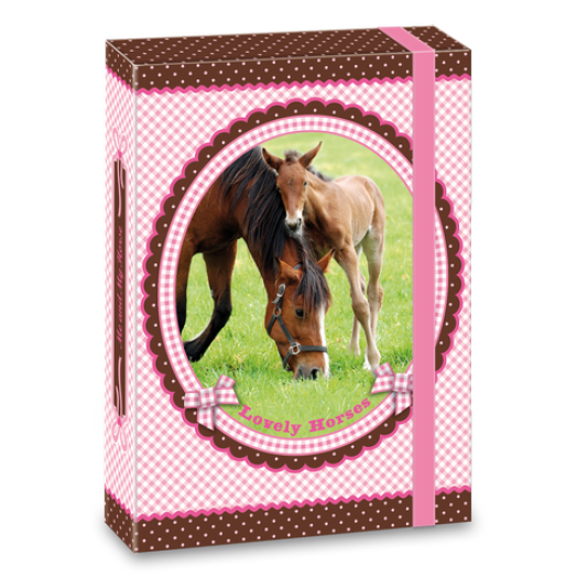 My Horse füzetbox A/5