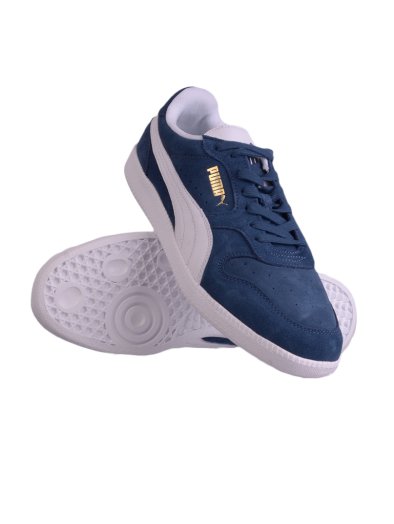 Icra Trainer