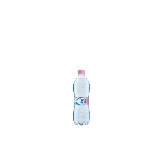 Naturaqua ásványvíz 0,5L PET