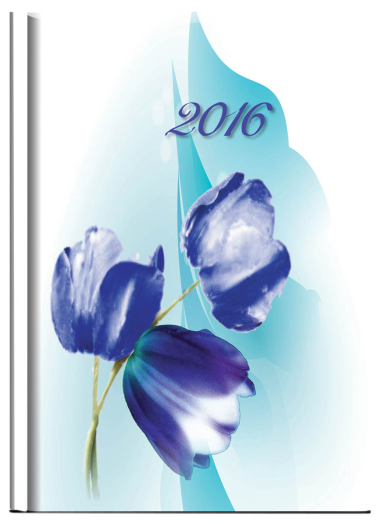 Agenda Joy J022 B6 napi