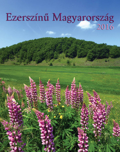 TopTimer falinaptár T093 Ezerszínű Magyarország