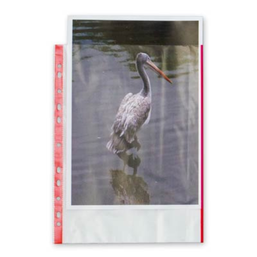 Donau színes szegélyű lefűzhető genotherm