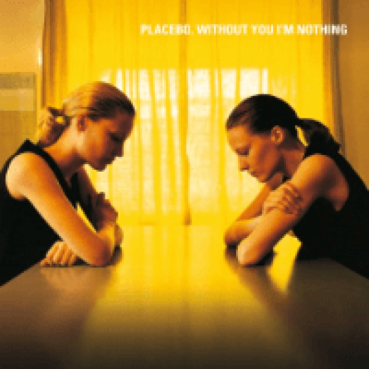 Without You I'm Nothing' CD