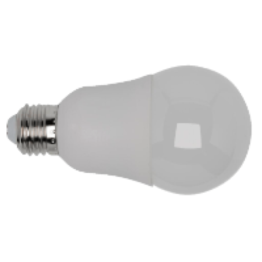 ILE6001 LED izzó A60, E27, 10W
