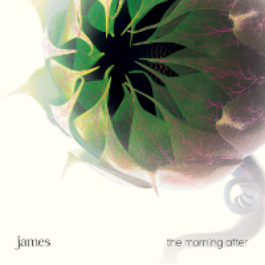 The Morning After CD