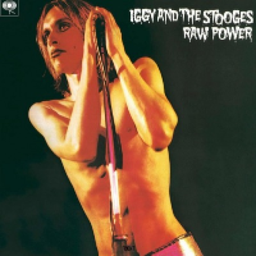 Raw Power LP