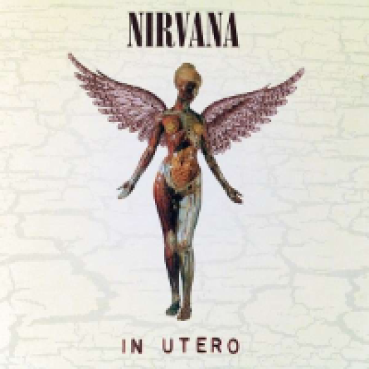 In Utero (20th Anniversary Edition) CD