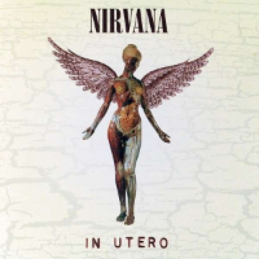 In Utero (20th Anniversary Edition) (Deluxe Edition) CD+DVD